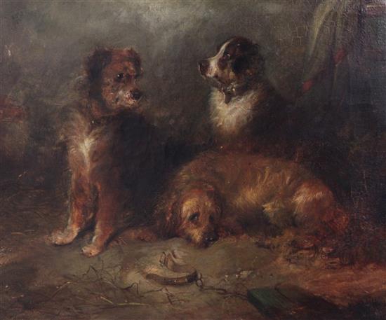 George Armfield (fl.1840-1875) Interior with three dogs, 12 x 14in.